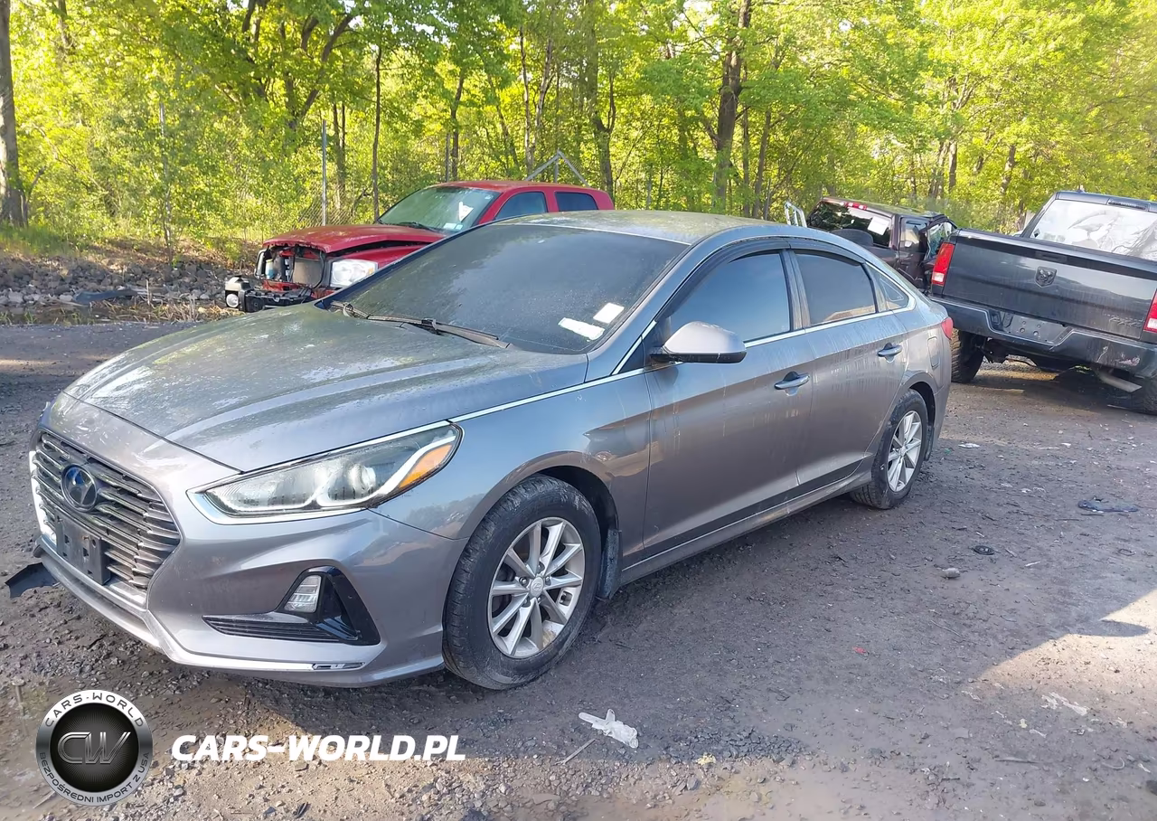 2018 Hyundai Sonata Eco VIN:5NPE24AA4JH720842 - 2