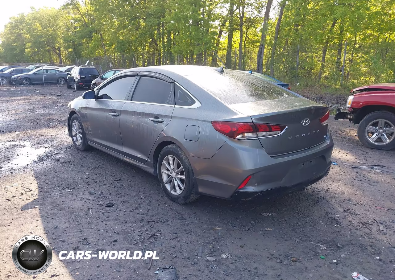 2018 Hyundai Sonata Eco VIN:5NPE24AA4JH720842 - 3