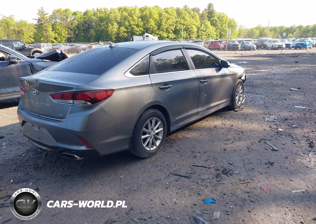 2018 Hyundai Sonata Eco VIN:5NPE24AA4JH720842 - 4