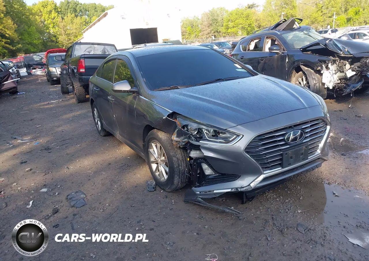 2018 Hyundai Sonata Eco VIN:5NPE24AA4JH720842 - 6