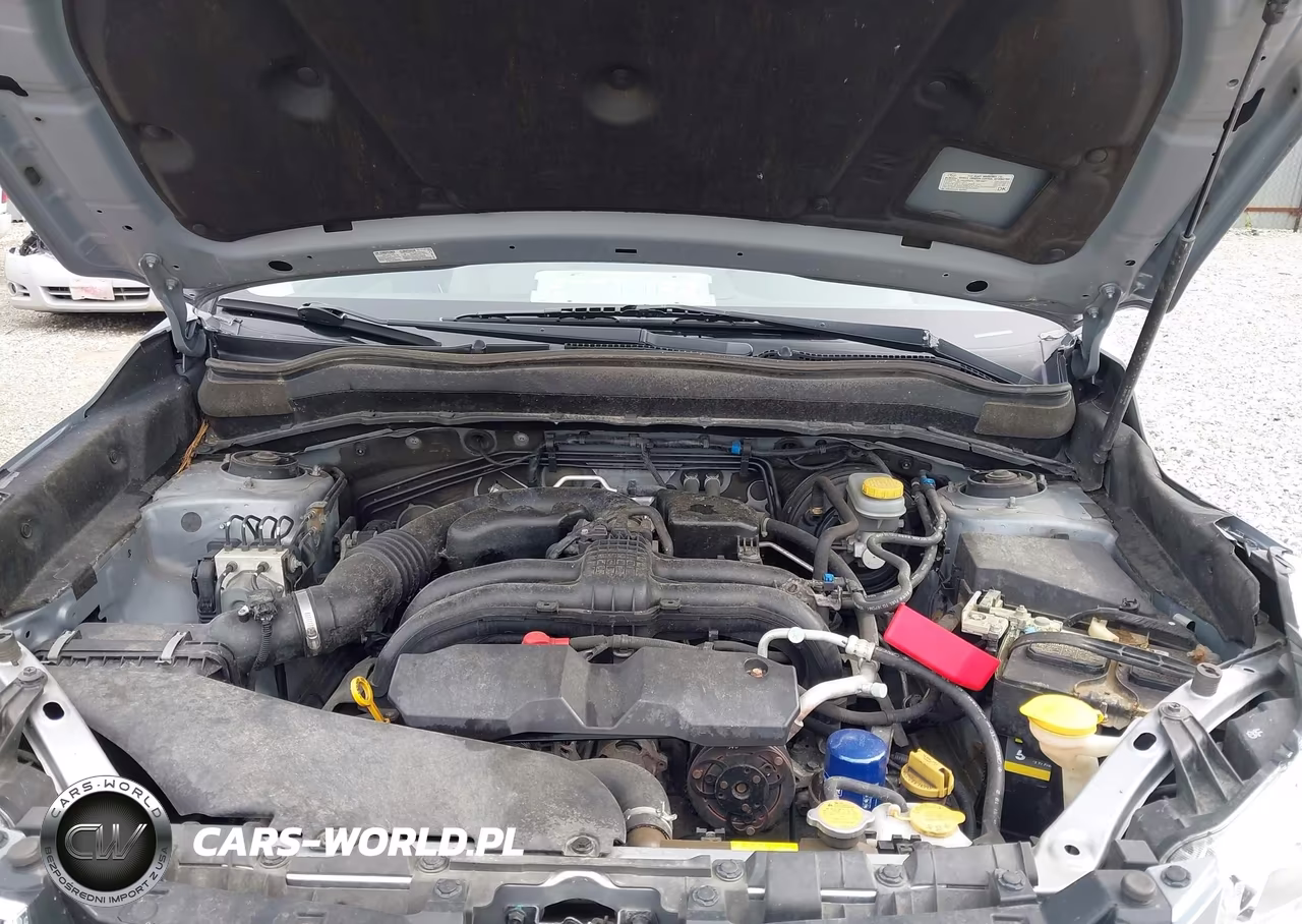 2016 Subaru Forester 2.5I VIN:JF2SJABC1GH480033 - 10