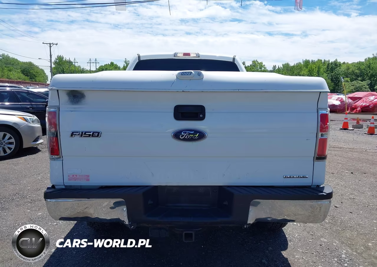 2014 Ford F-150 Xlt VIN:1FTFW1EF8EFC54863 - 16