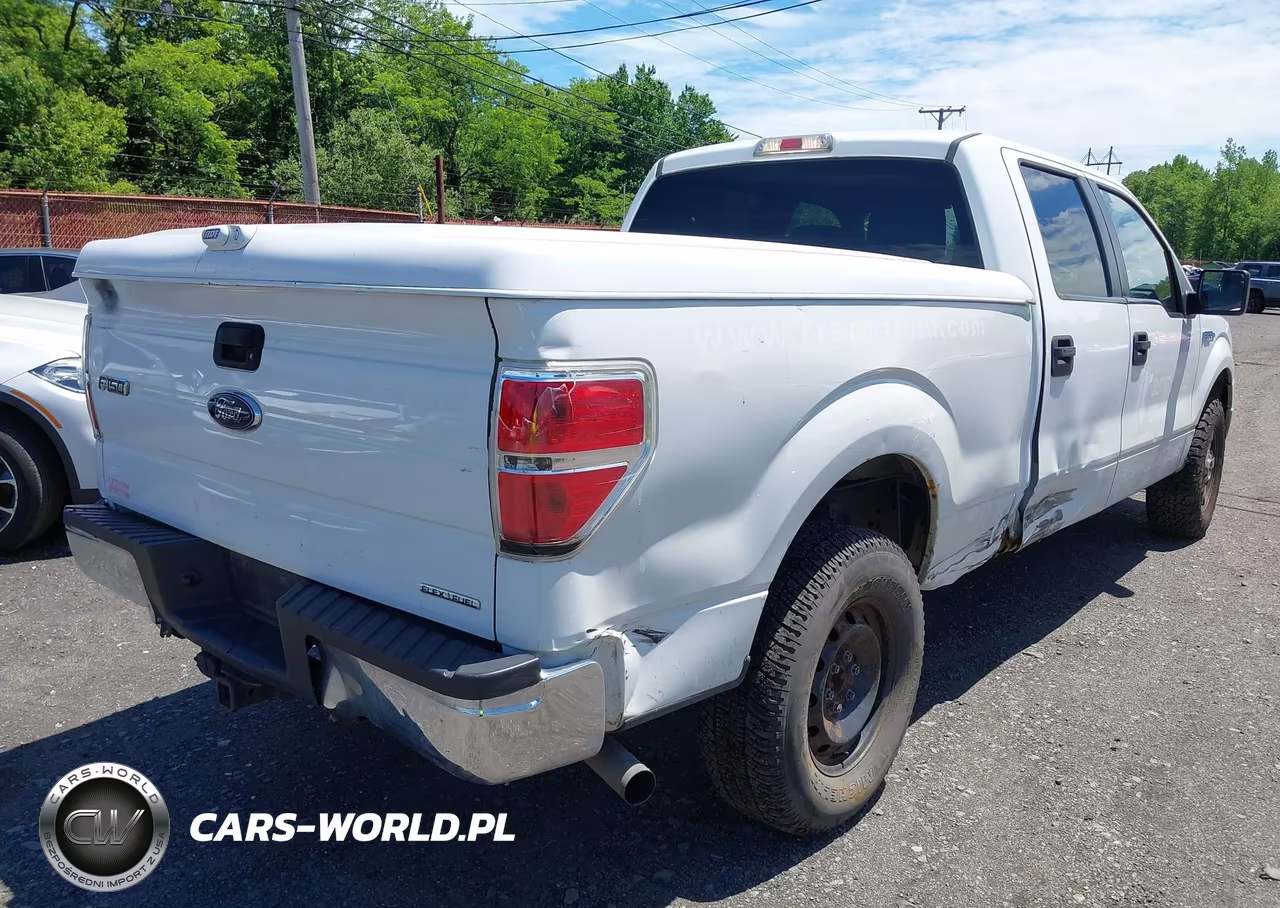 2014 Ford F-150 Xlt VIN:1FTFW1EF8EFC54863 - 17