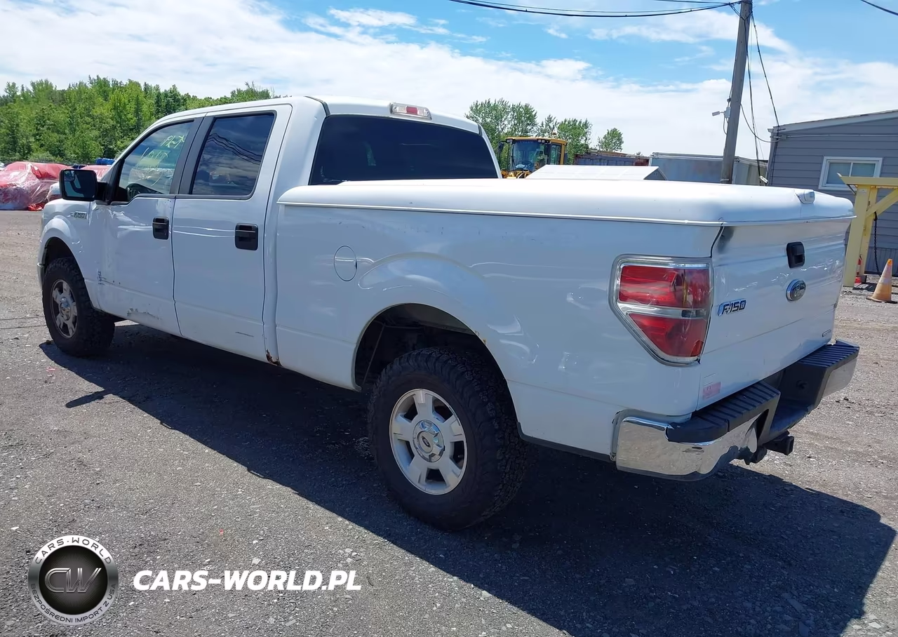 2014 Ford F-150 Xlt VIN:1FTFW1EF8EFC54863 - 3