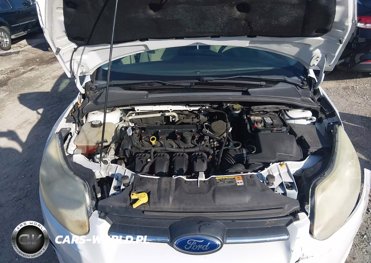 2013 Ford Focus Se VIN:1FADP3F25DL253431 - 10