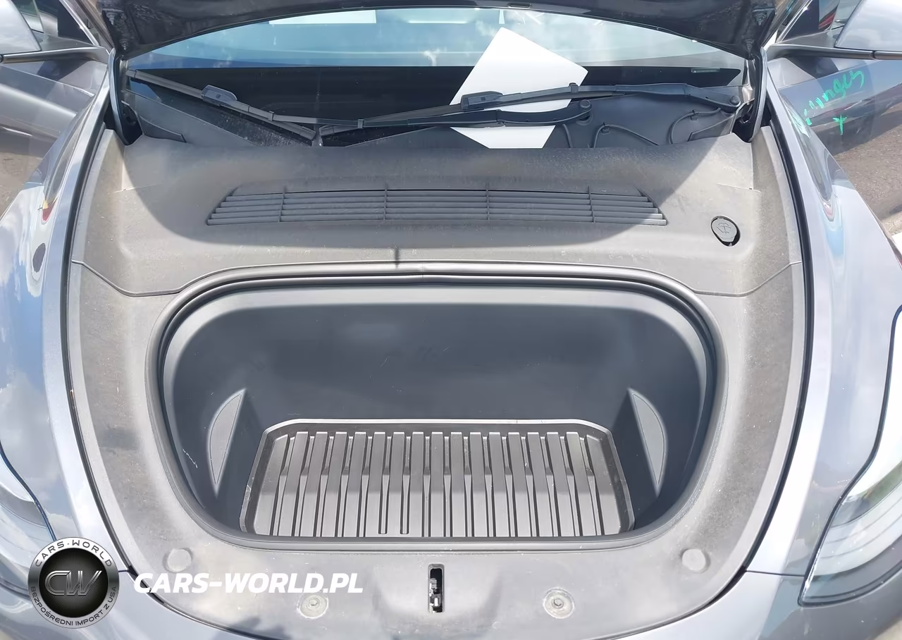 2023 Tesla Model Y Performance Dual Motor All-Wheel Drive VIN:7SAYGDEF4PF838761 - 10