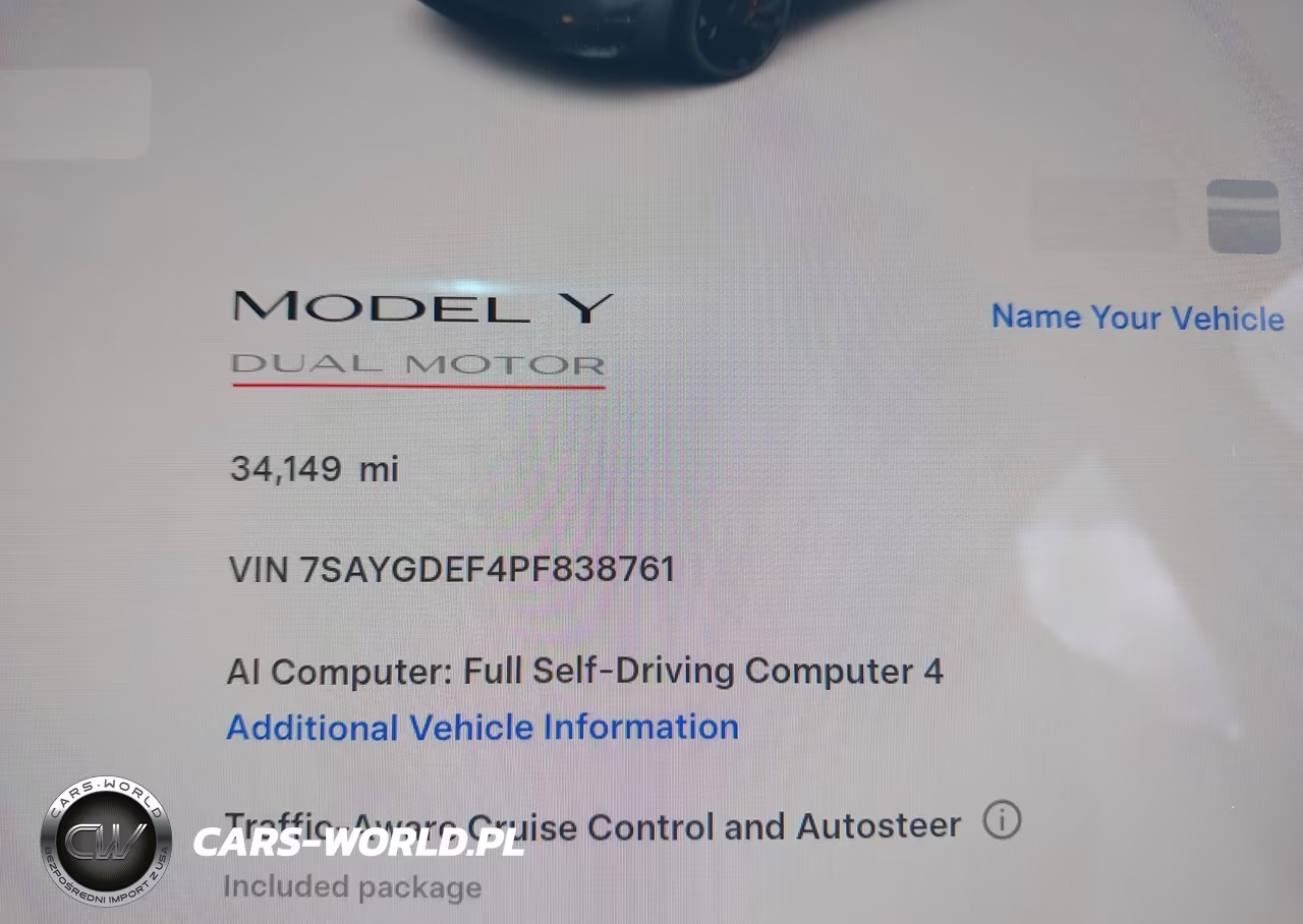 2023 Tesla Model Y Performance Dual Motor All-Wheel Drive VIN:7SAYGDEF4PF838761 - 16