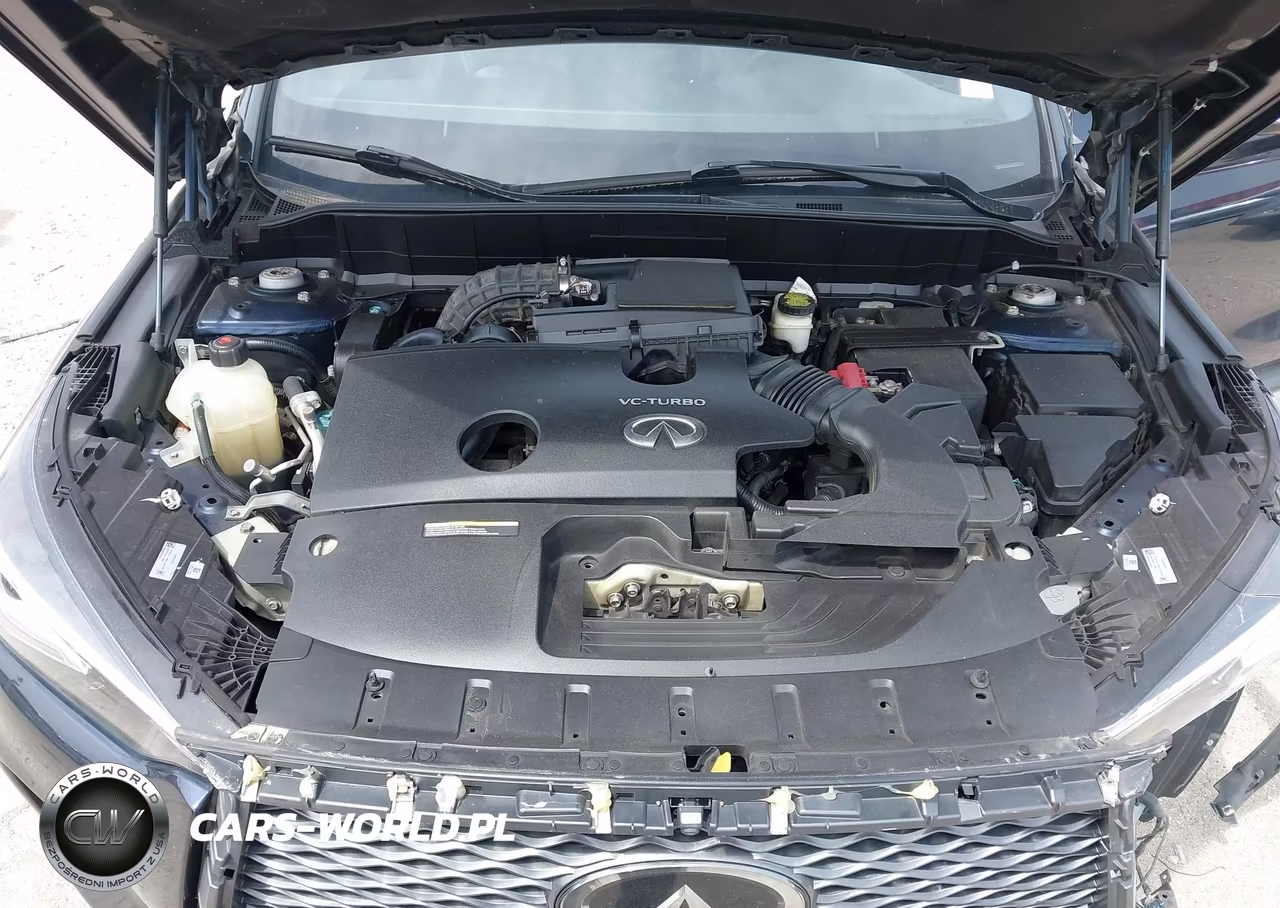 2019 Infiniti Qx50 Essential VIN:3PCAJ5M31KF101958 - 10