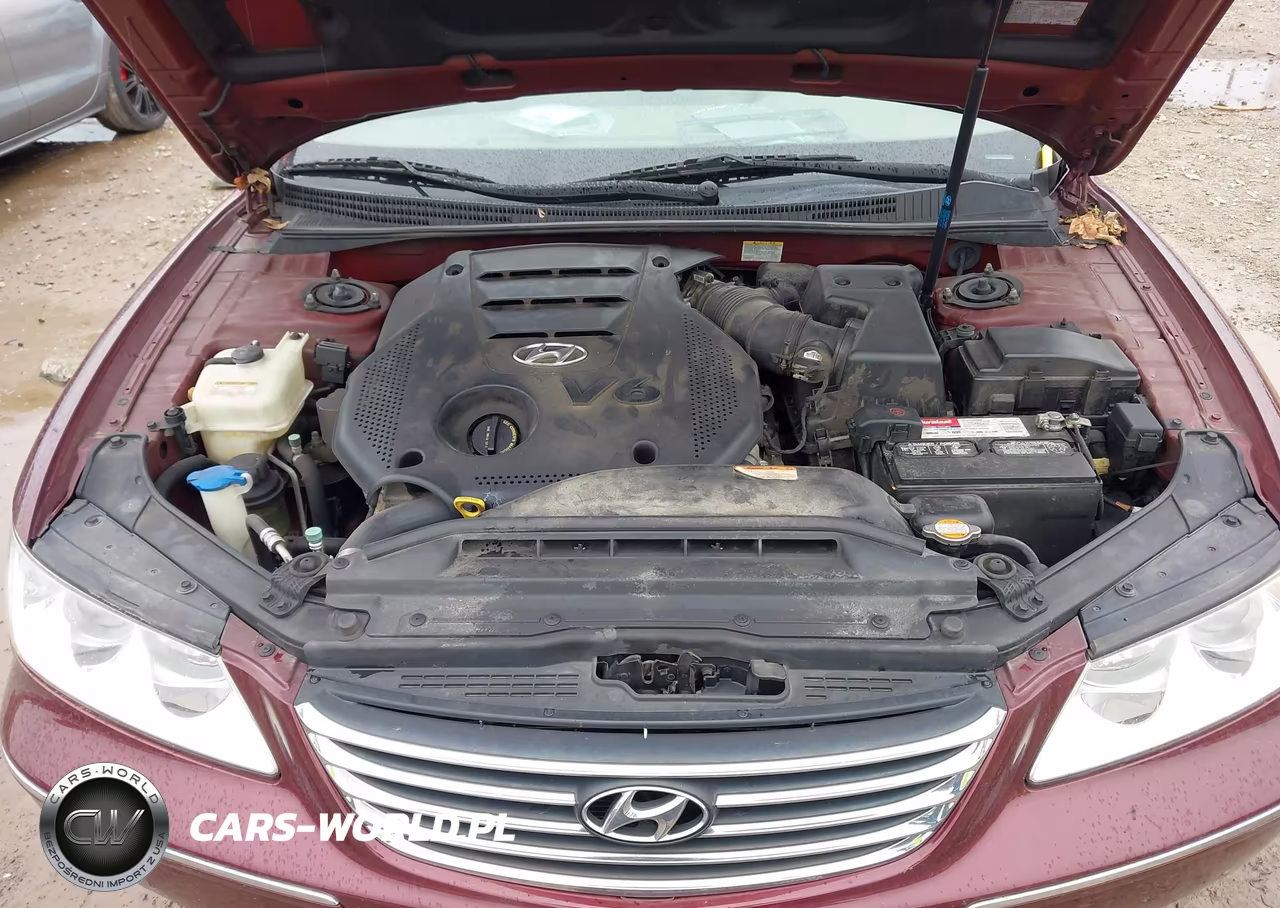2009 Hyundai Azera Gls VIN:KMHFC46D09A360892 - 10