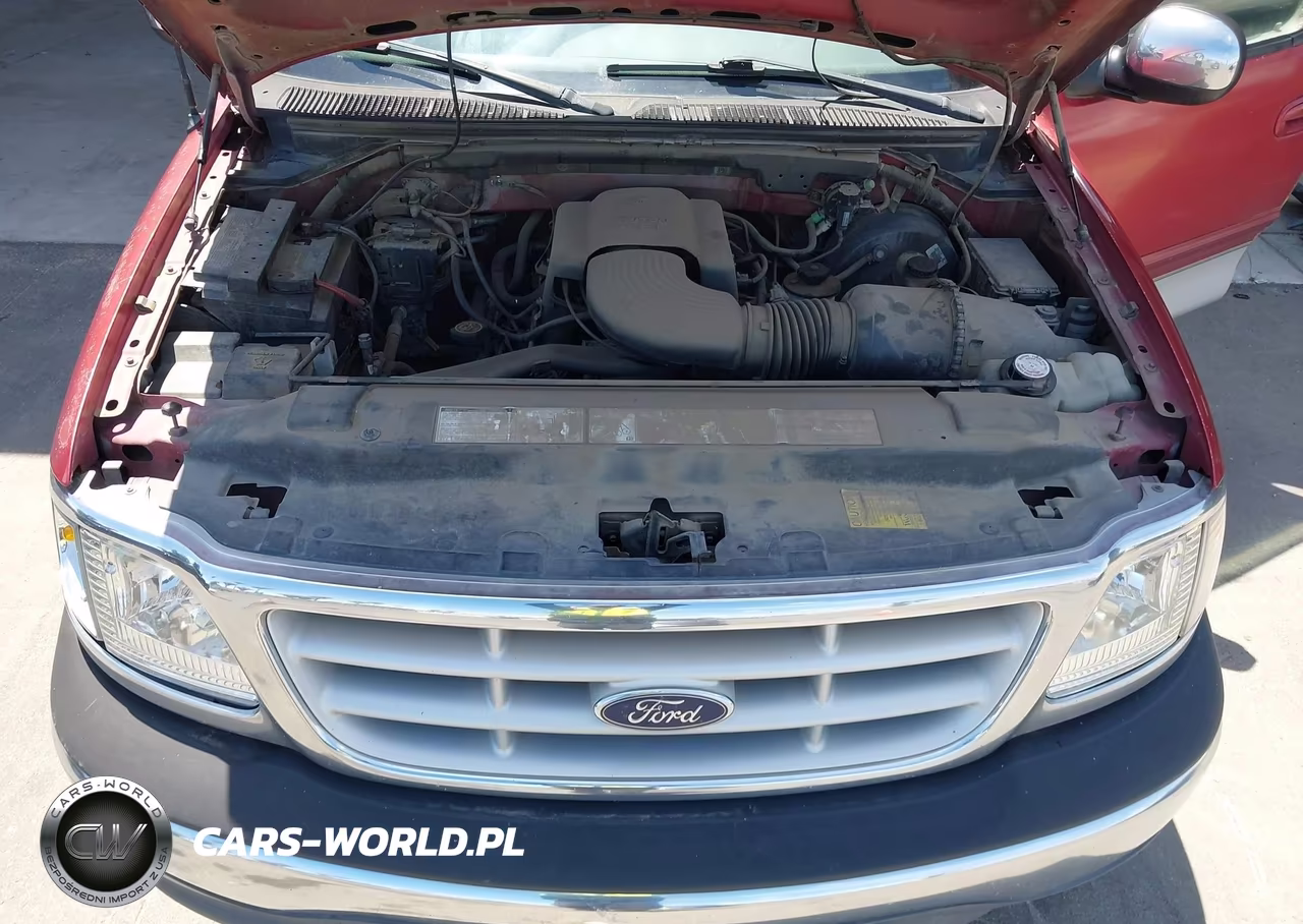 1999 Ford F-150 Lariat-Work Series-Xl-Xlt VIN:1FTRX17W9XKC13711 - 10