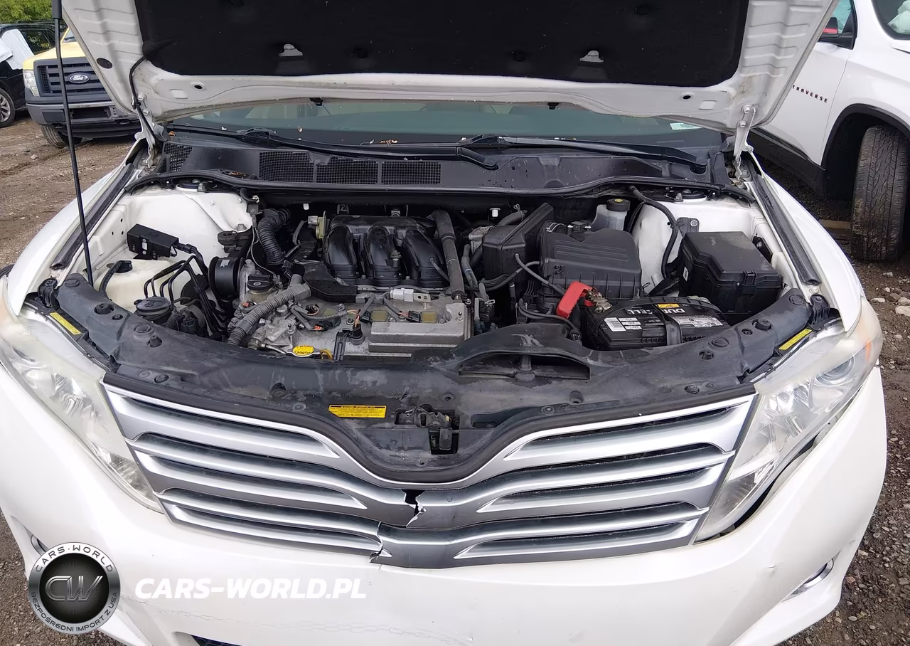 2009 Toyota Venza Base V6 VIN:4T3ZK11AX9U016746 - 10