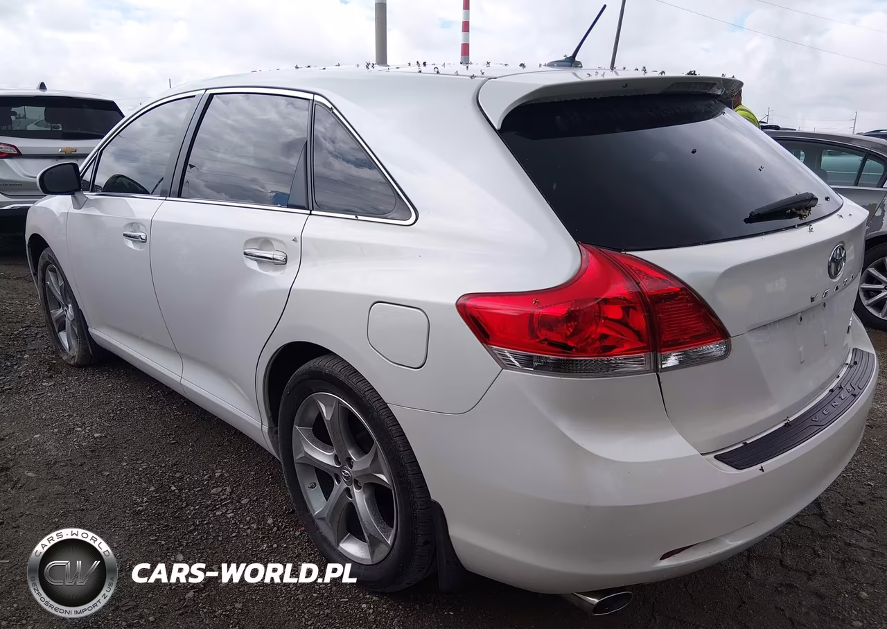 2009 Toyota Venza Base V6 VIN:4T3ZK11AX9U016746 - 3