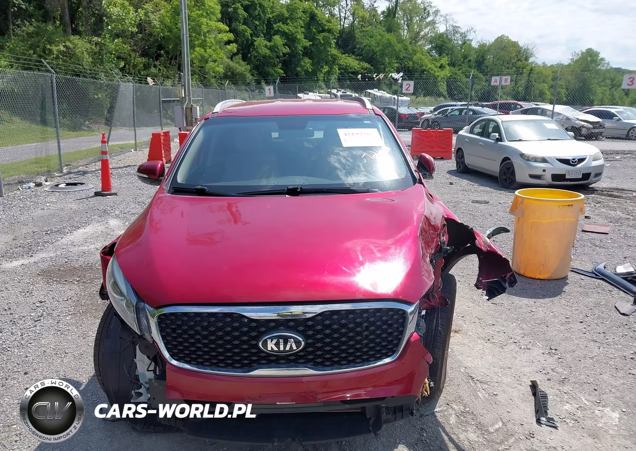 2017 Kia Sorento 2.4L Lx VIN:5XYPG4A35HG192001 - 12