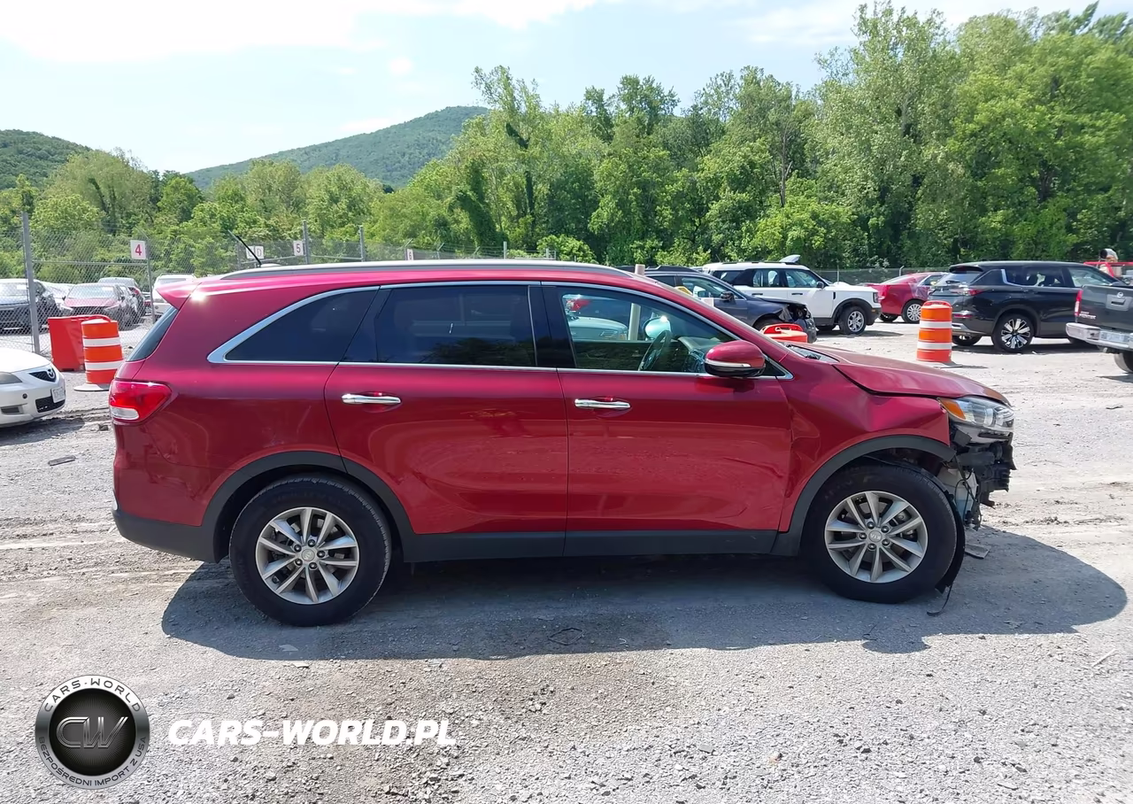 2017 Kia Sorento 2.4L Lx VIN:5XYPG4A35HG192001 - 13