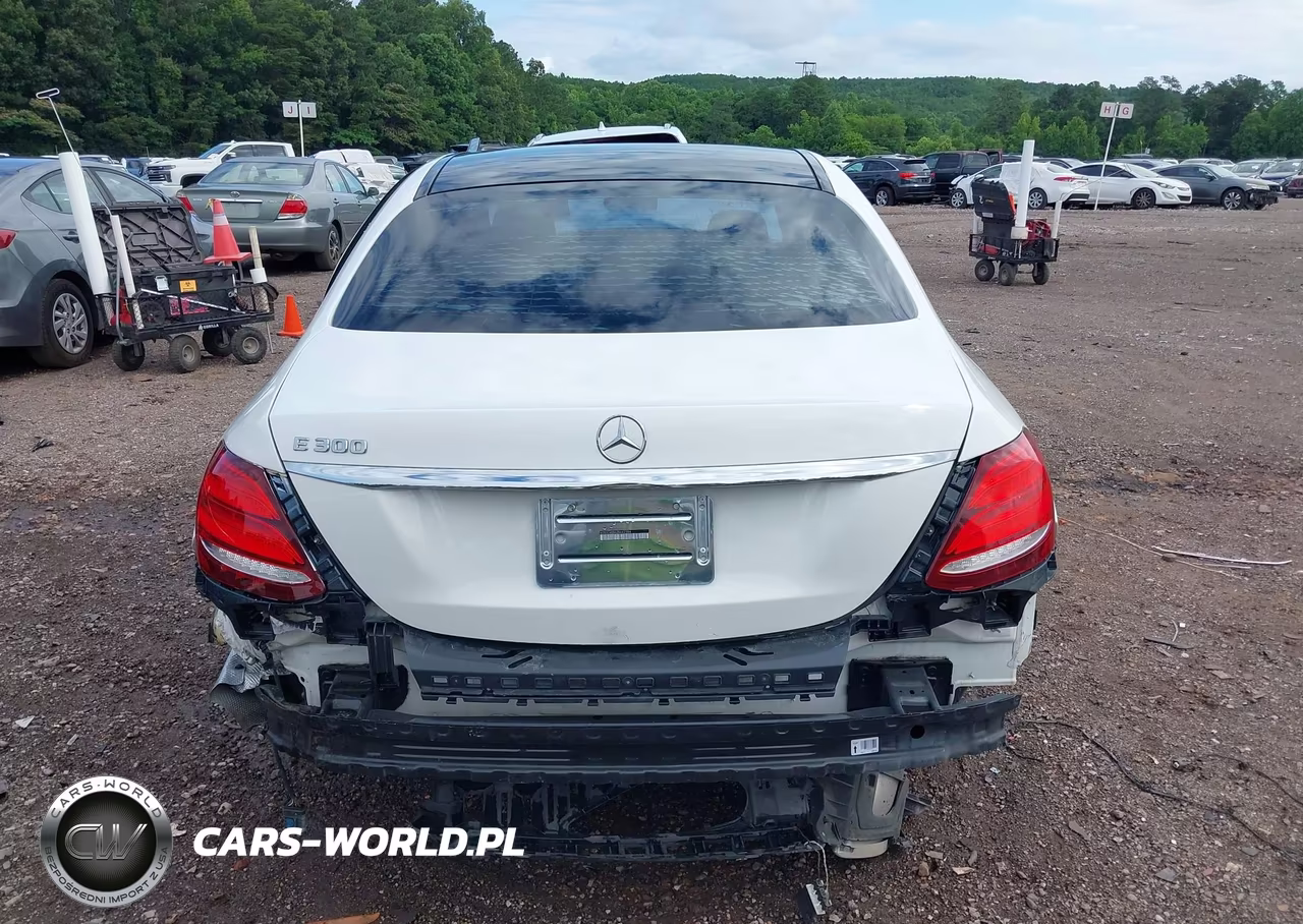 2017 Mercedes-Benz E 300 VIN:WDDZF4JB2HA272672 - 16