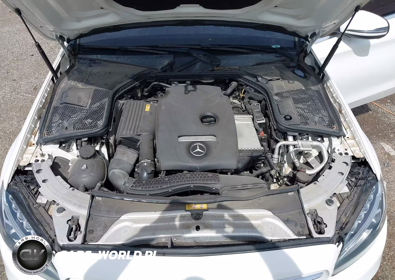 2017 Mercedes-Benz C 300 Sport VIN:55SWF4JBXHU225568 - 10