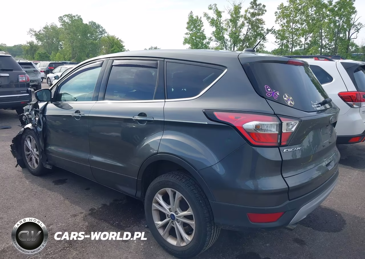 2017 Ford Escape Se VIN:1FMCU0GD9HUE89699 - 3
