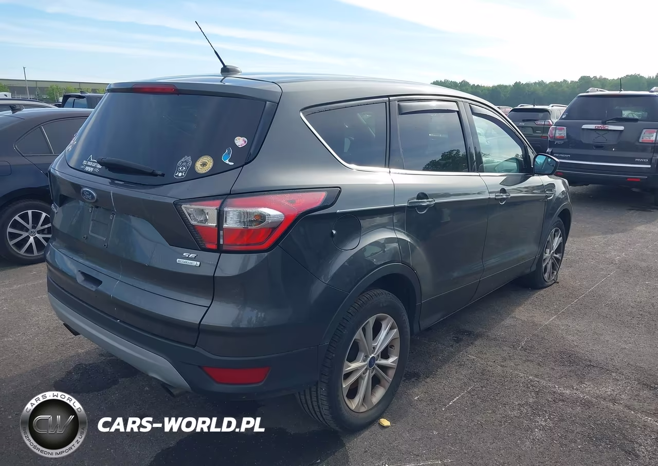 2017 Ford Escape Se VIN:1FMCU0GD9HUE89699 - 4