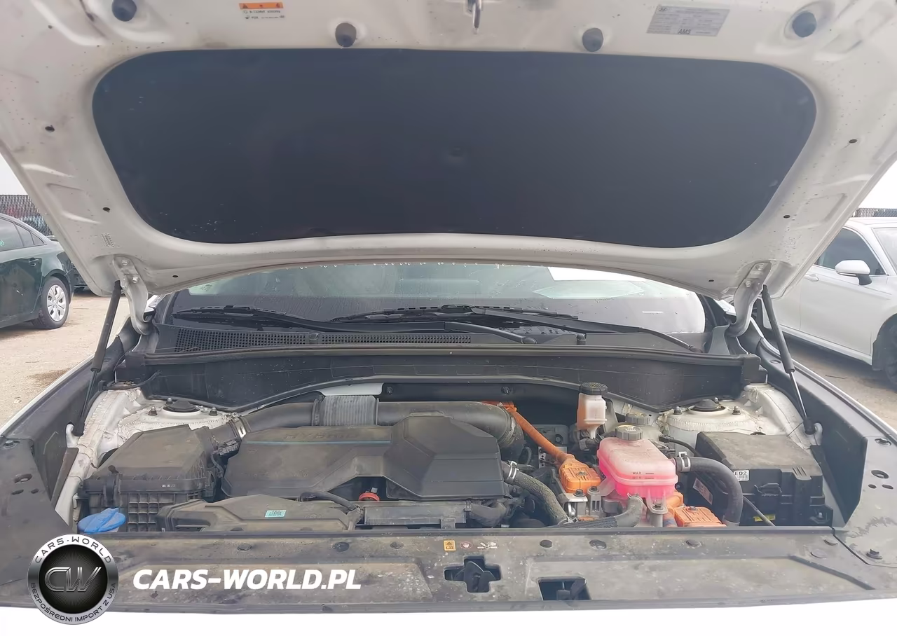 2022 Hyundai Santa Fe Hybrid Sel Premium VIN:KM8S3DA19NU052656 - 10