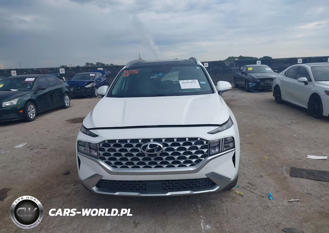 2022 Hyundai Santa Fe Hybrid Sel Premium VIN:KM8S3DA19NU052656 - 11