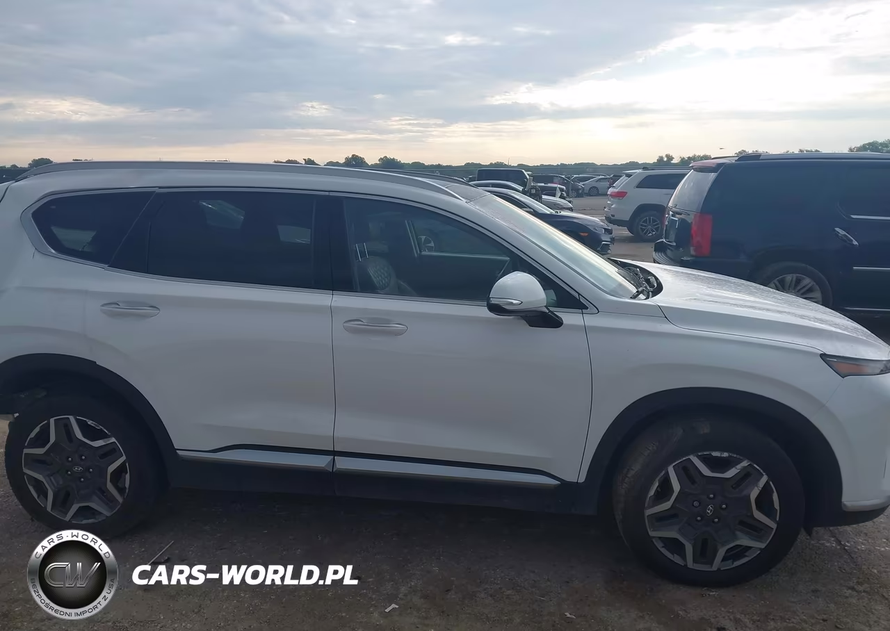 2022 Hyundai Santa Fe Hybrid Sel Premium VIN:KM8S3DA19NU052656 - 12