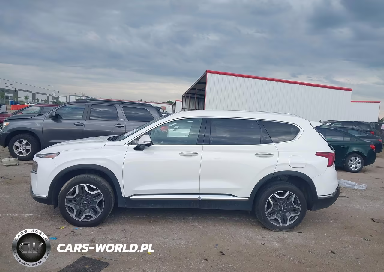 2022 Hyundai Santa Fe Hybrid Sel Premium VIN:KM8S3DA19NU052656 - 13