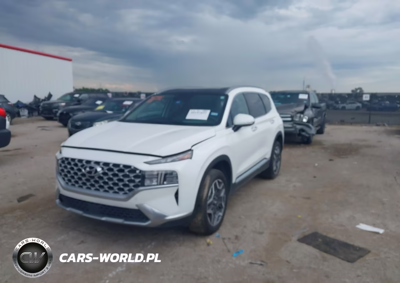 2022 Hyundai Santa Fe Hybrid Sel Premium VIN:KM8S3DA19NU052656 - 2