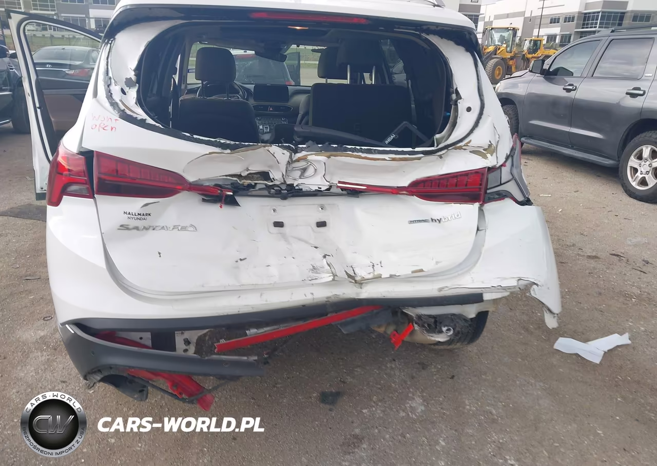 2022 Hyundai Santa Fe Hybrid Sel Premium VIN:KM8S3DA19NU052656 - 6