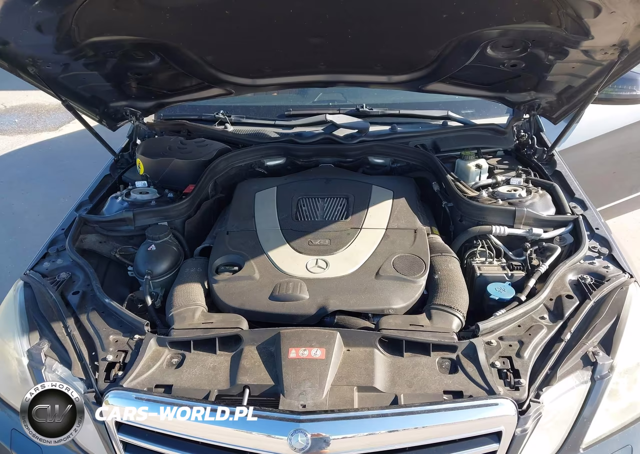 2010 Mercedes-Benz E 550 VIN:WDDHF7CB4AA033642 - 10