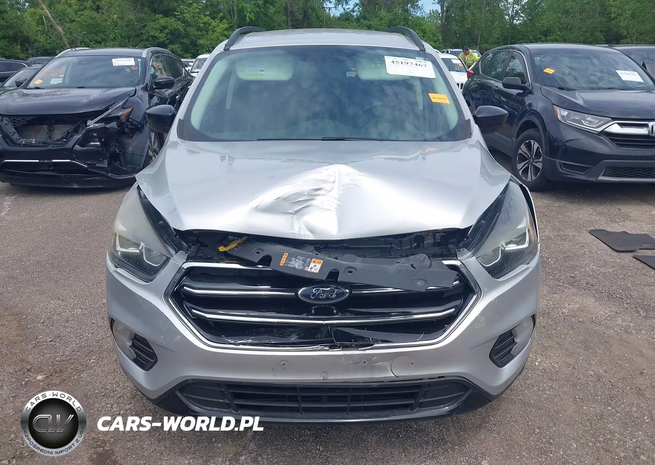 2017 Ford Escape Se VIN:1FMCU0GD4HUE52589 - 12