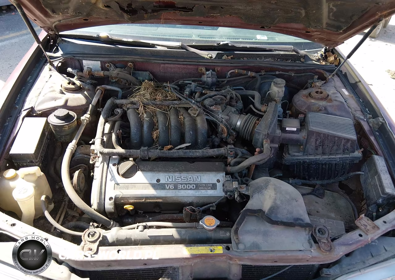 1996 Nissan Maxima Gle-Gxe-Se VIN:JN1CA21D3TT729381 - 10