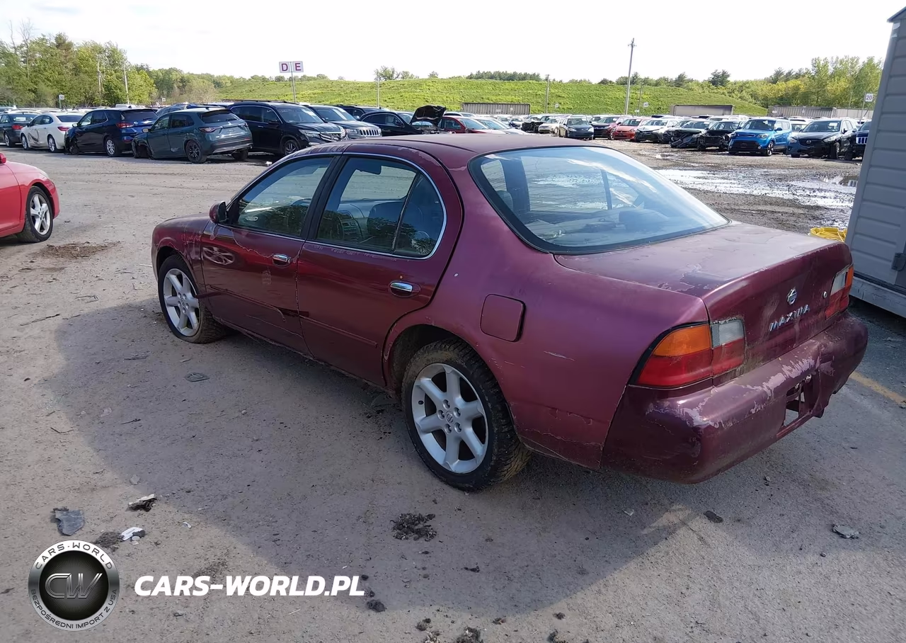 1996 Nissan Maxima Gle-Gxe-Se VIN:JN1CA21D3TT729381 - 3