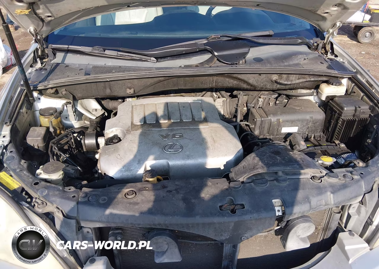 2007 Lexus Rx 350 VIN:2T2HK31U97C038547 - 10
