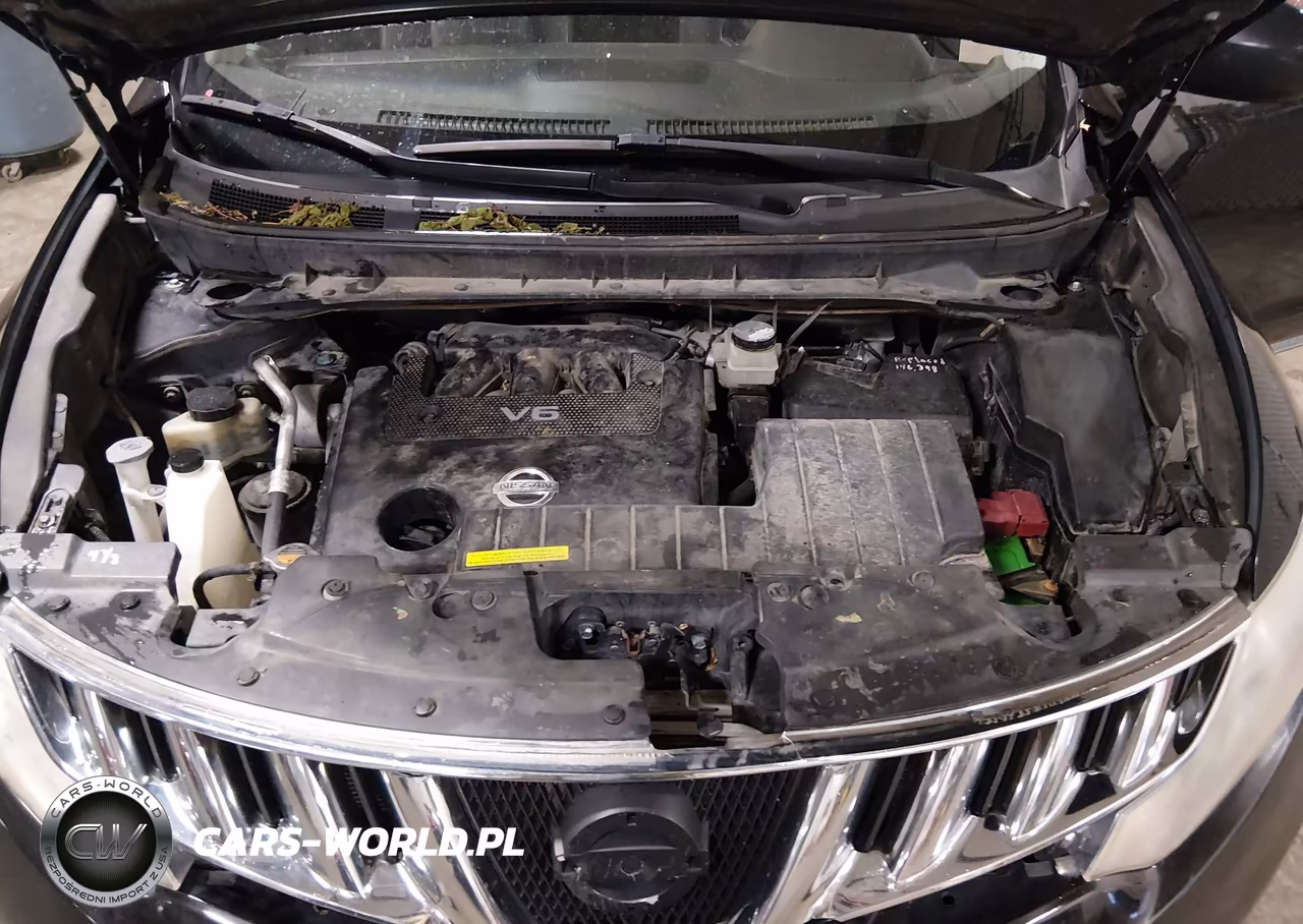 2010 Nissan Murano Le VIN:JN8AZ1MW7AW135140 - 10