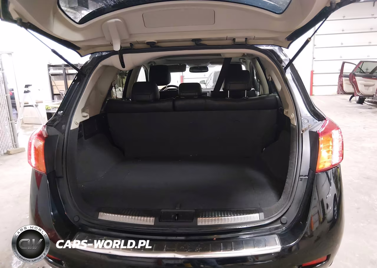 2010 Nissan Murano Le VIN:JN8AZ1MW7AW135140 - 17