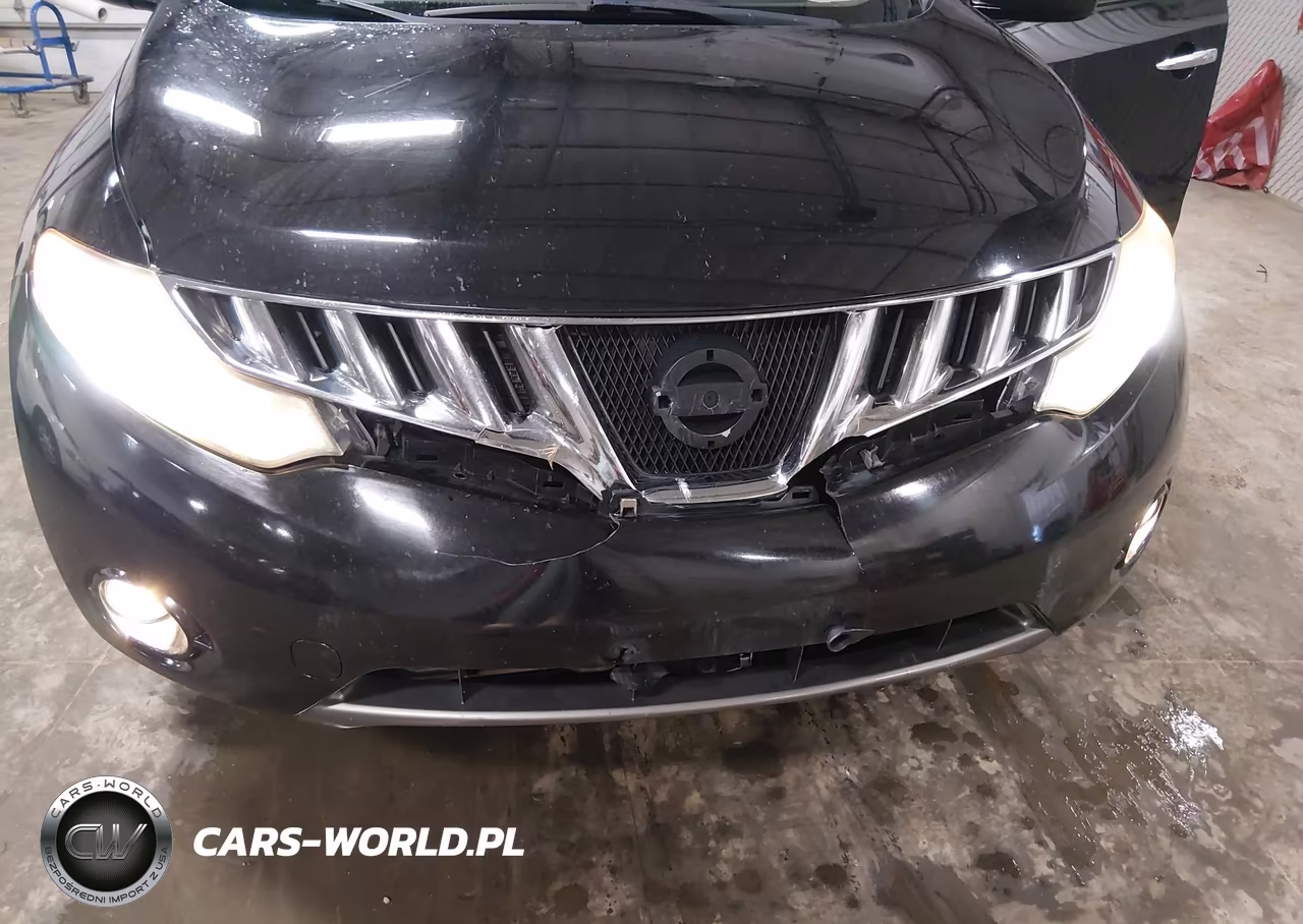 2010 Nissan Murano Le VIN:JN8AZ1MW7AW135140 - 6