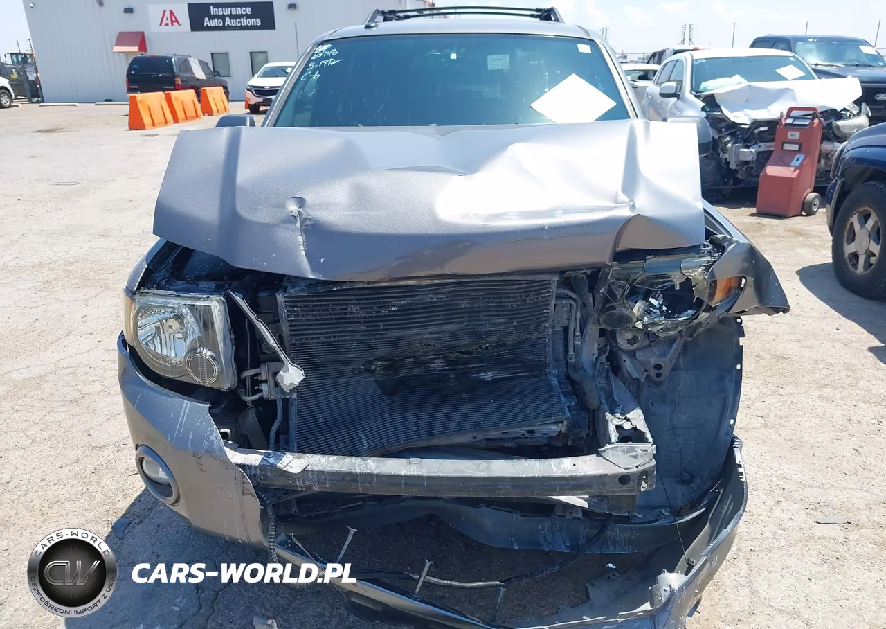 2009 Ford Escape Xlt VIN:1FMCU93G49KB78991 - 6