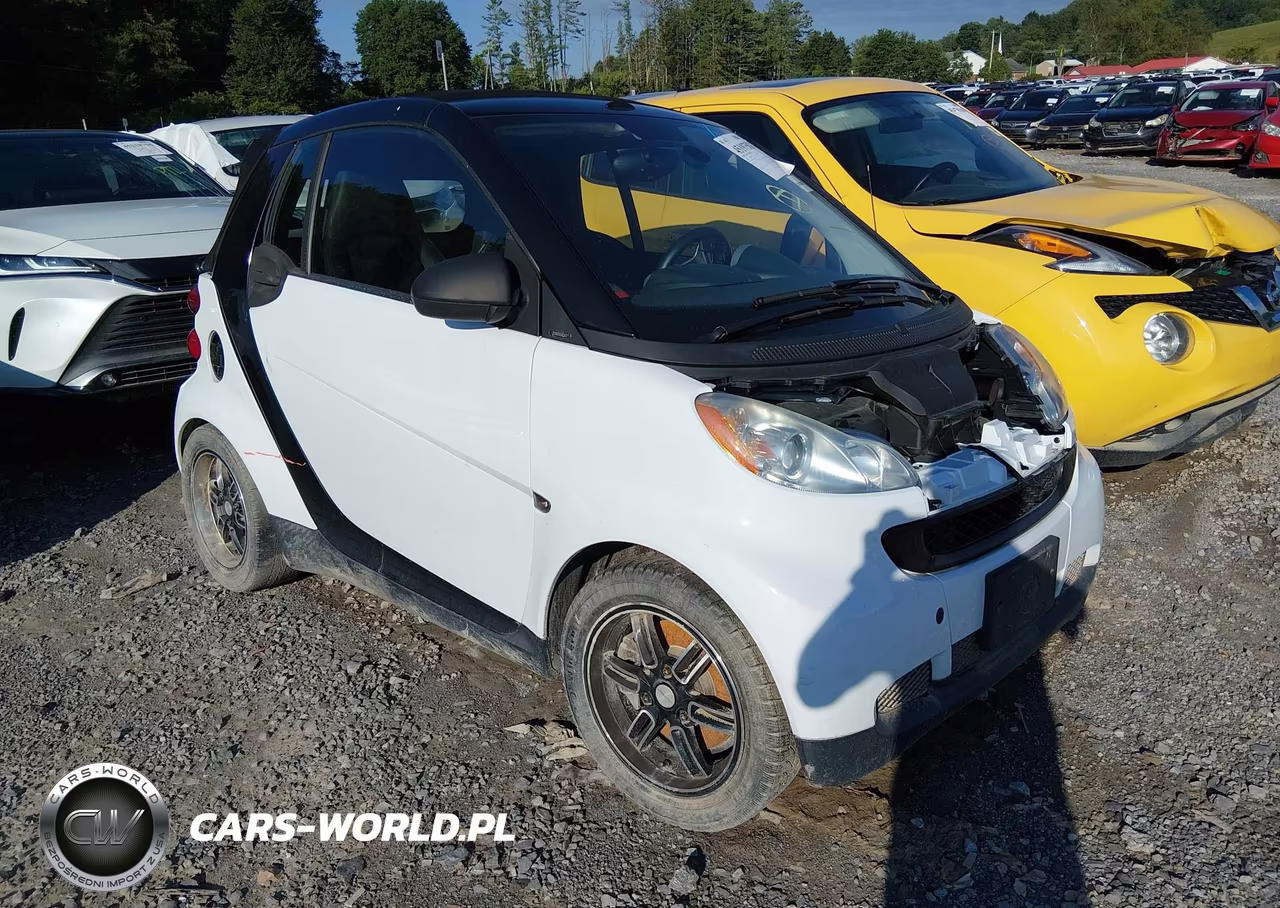 2009 Smart Fortwo Brabus-Passion