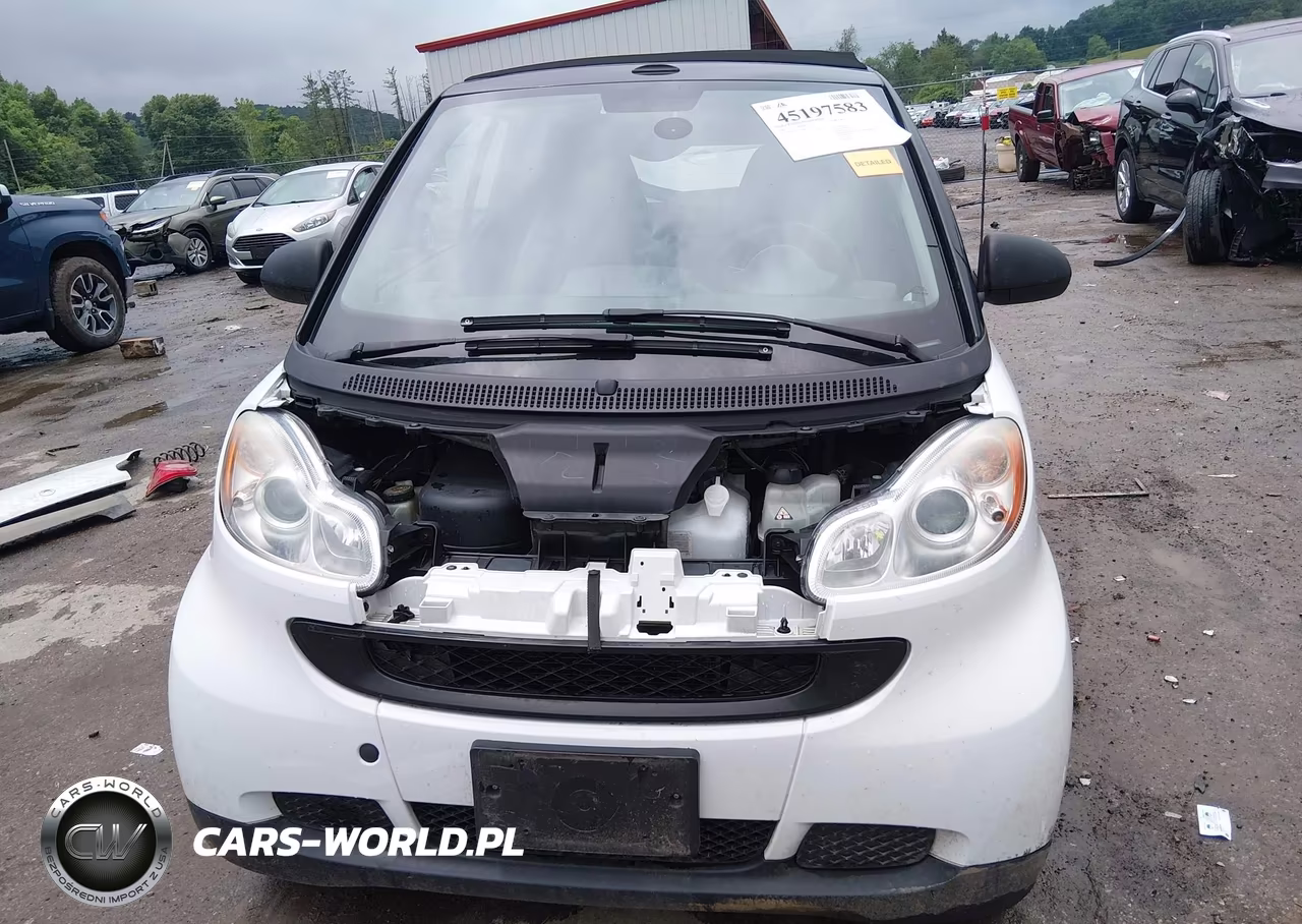 2009 Smart Fortwo Brabus-Passion VIN:WMEEK31X69K225510 - 13