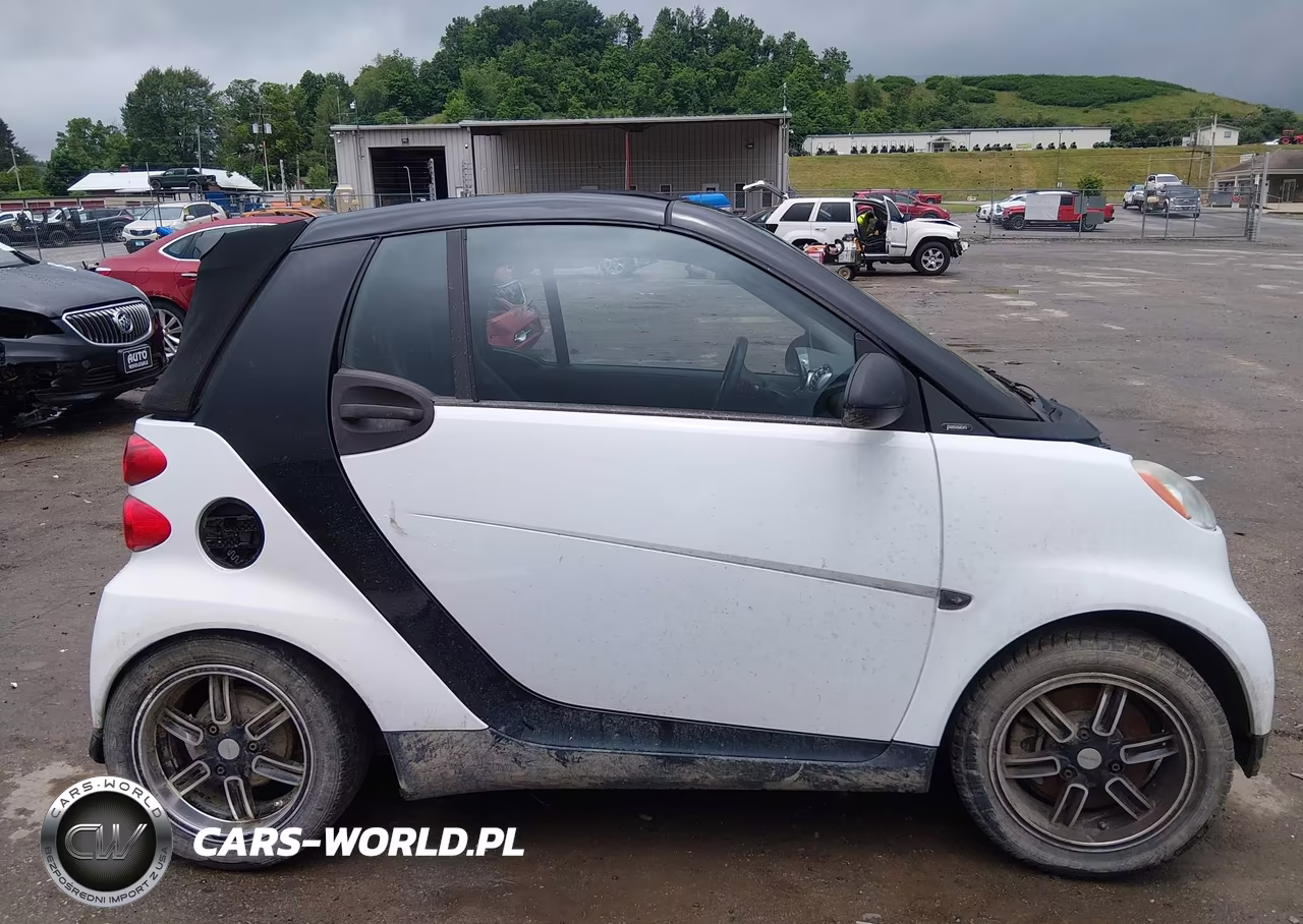 2009 Smart Fortwo Brabus-Passion VIN:WMEEK31X69K225510 - 14
