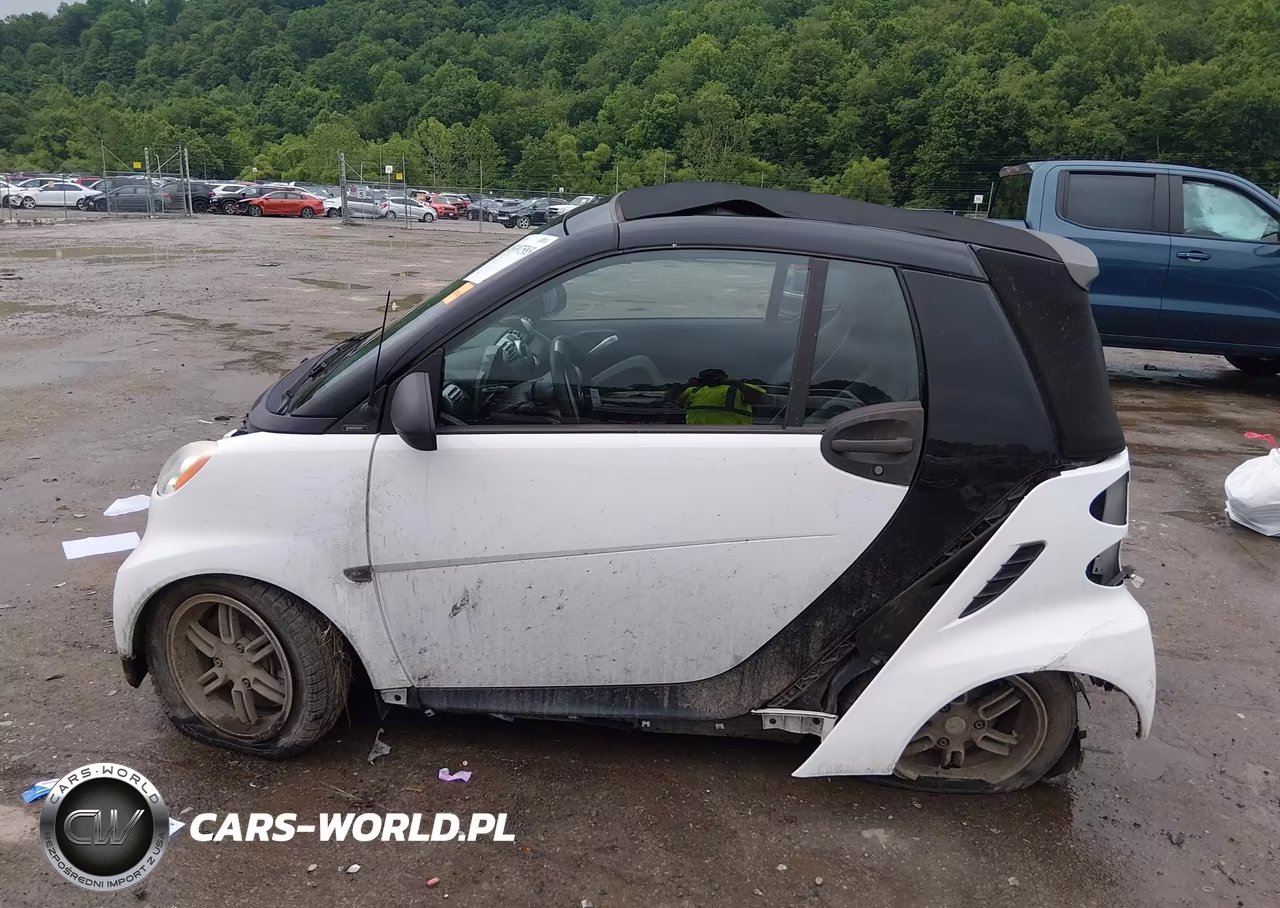 2009 Smart Fortwo Brabus-Passion VIN:WMEEK31X69K225510 - 15