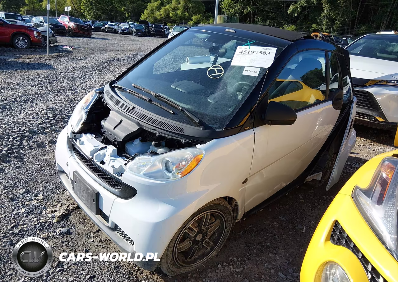 2009 Smart Fortwo Brabus-Passion VIN:WMEEK31X69K225510 - 2