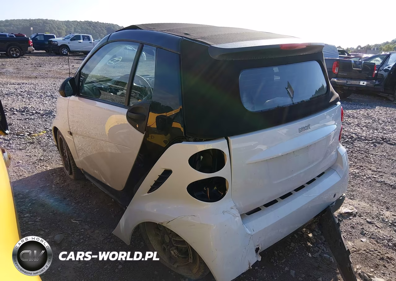 2009 Smart Fortwo Brabus-Passion VIN:WMEEK31X69K225510 - 3