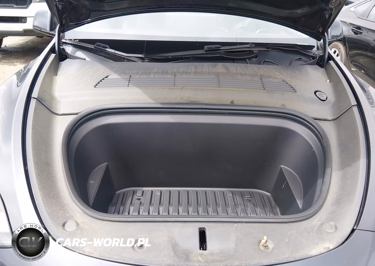 2024 Tesla Model Y Performance Dual Motor All-Wheel Drive VIN:7SAYGDEF1RF034906 - 10