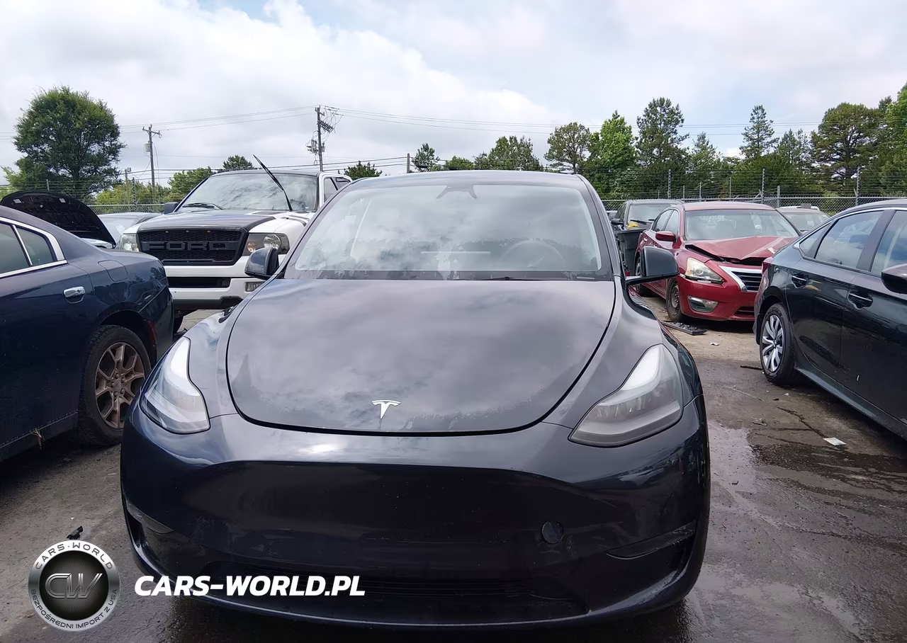 2024 Tesla Model Y Performance Dual Motor All-Wheel Drive VIN:7SAYGDEF1RF034906 - 11