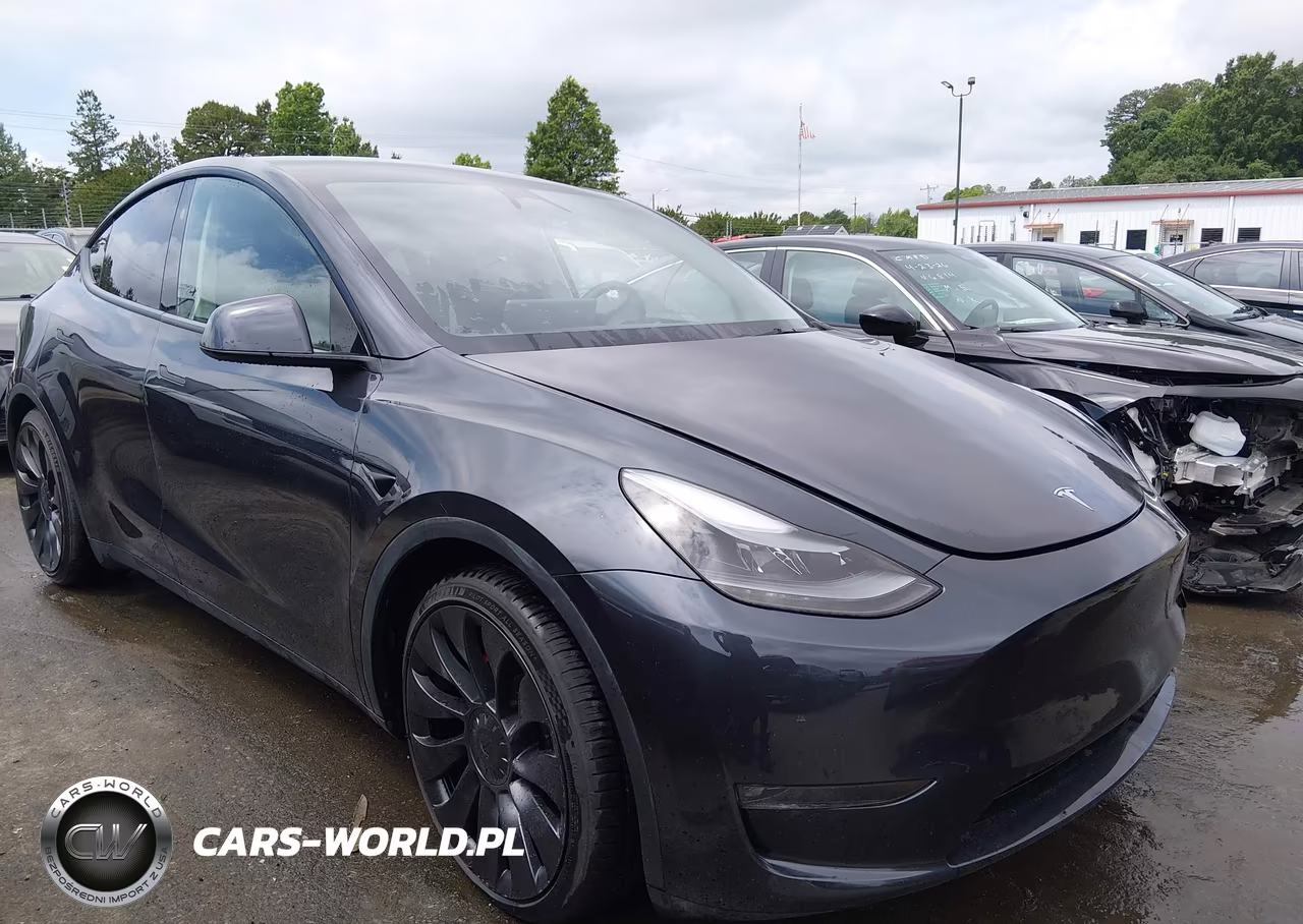 2024 Tesla Model Y Performance Dual Motor All-Wheel Drive VIN:7SAYGDEF1RF034906 - 12