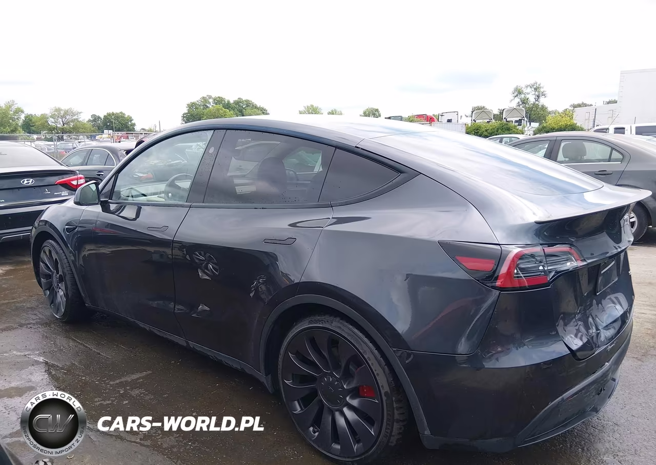 2024 Tesla Model Y Performance Dual Motor All-Wheel Drive VIN:7SAYGDEF1RF034906 - 13