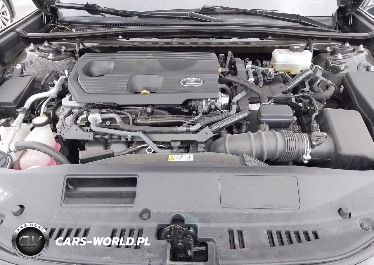 2022 Lexus Es 300H F Sport VIN:58AGA1C18NU021771 - 10