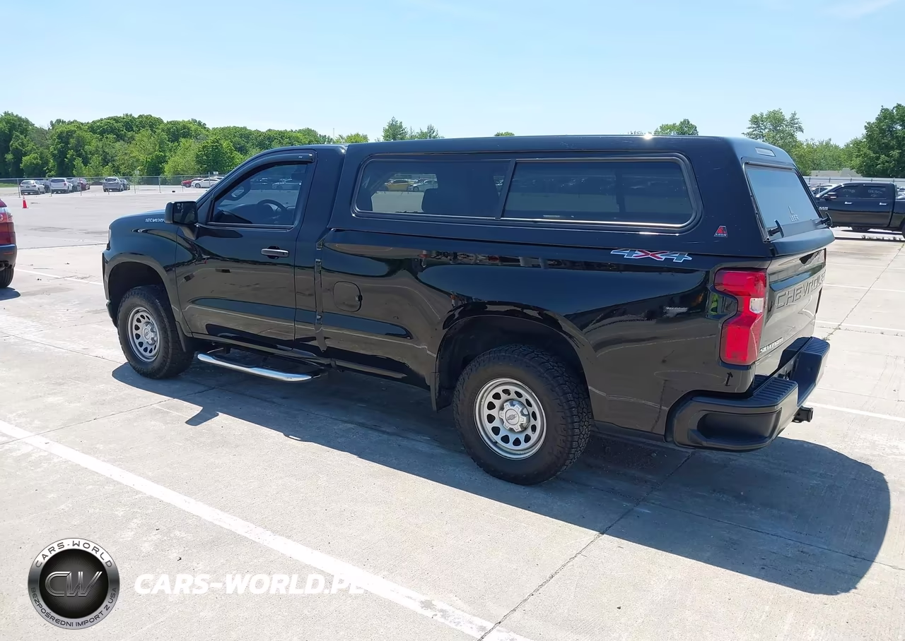 2019 Chevrolet Silverado 1500 Work Truck VIN:3GCNYAEF8KG174950 - 3