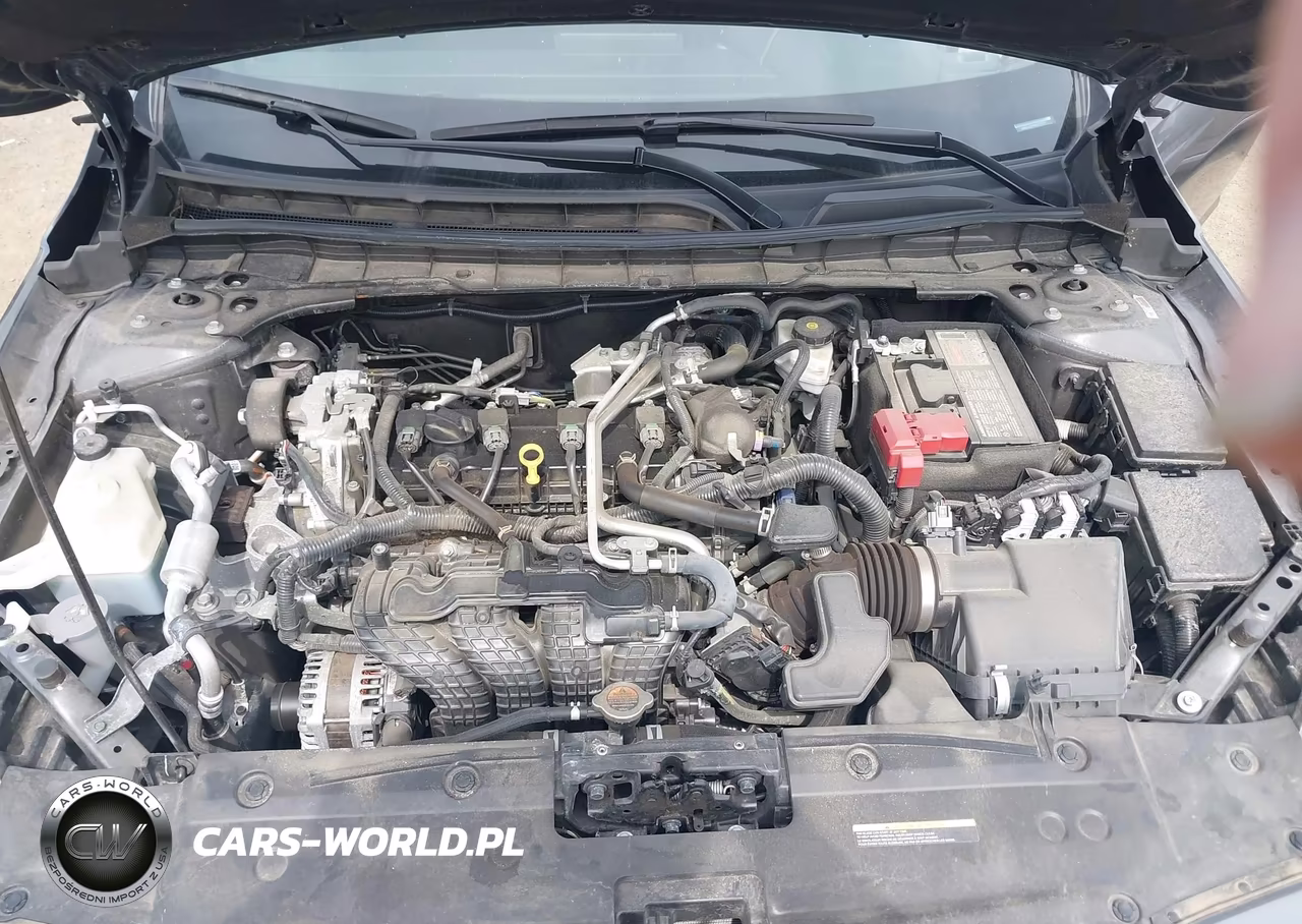 2024 Nissan Altima Sv Fwd VIN:1N4BL4DV4RN317721 - 10